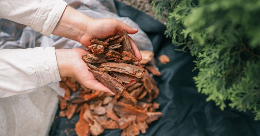 Mulch auf schwarzem Unkrautvlies